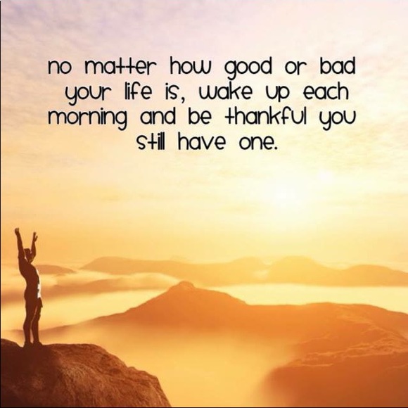 Meet your Posher, Catherine - Picture 4 of 4